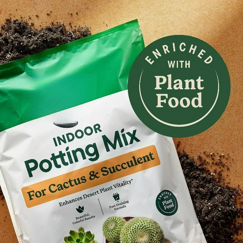 (Confezione da 2) Terriccio pe - Cactus Mix Pot recensione e prezzo