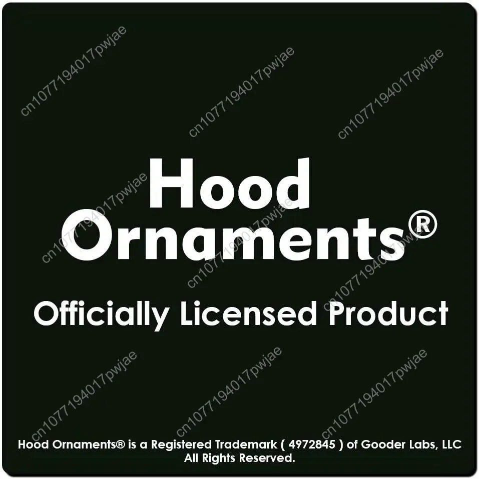 ศิลปินฮิปฮอป เทปคาสเซ็ต แร็พแบบโอลด์สคูล - เสื้อฮู้ดแบบสวมหัว