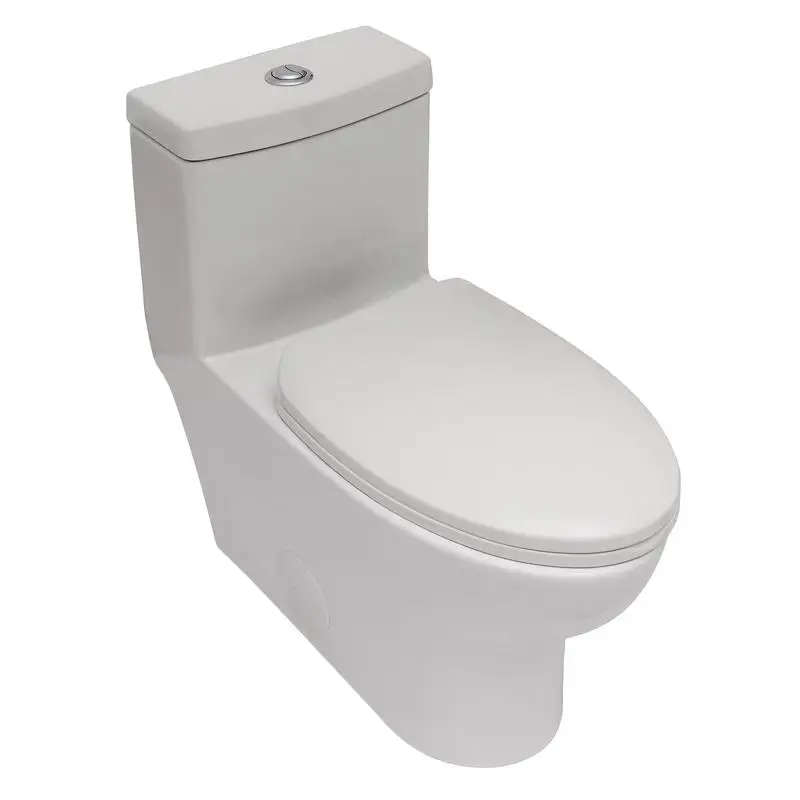 

Ceramic One-Piece Toilet with Dual Flush System and Soft-Close Seat Comfort