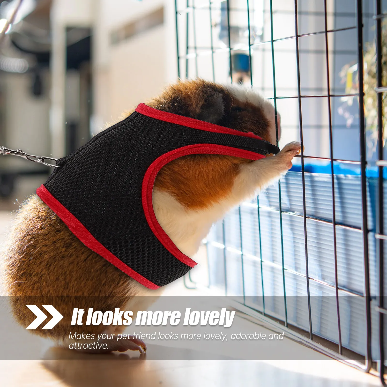 Photography Vest - ペット用ハーネス、リード、ウサギ用ベスト。軽量で通気性に優れ、屋外や屋内で散歩や写真撮影に最適な小型動物用ハーネス。