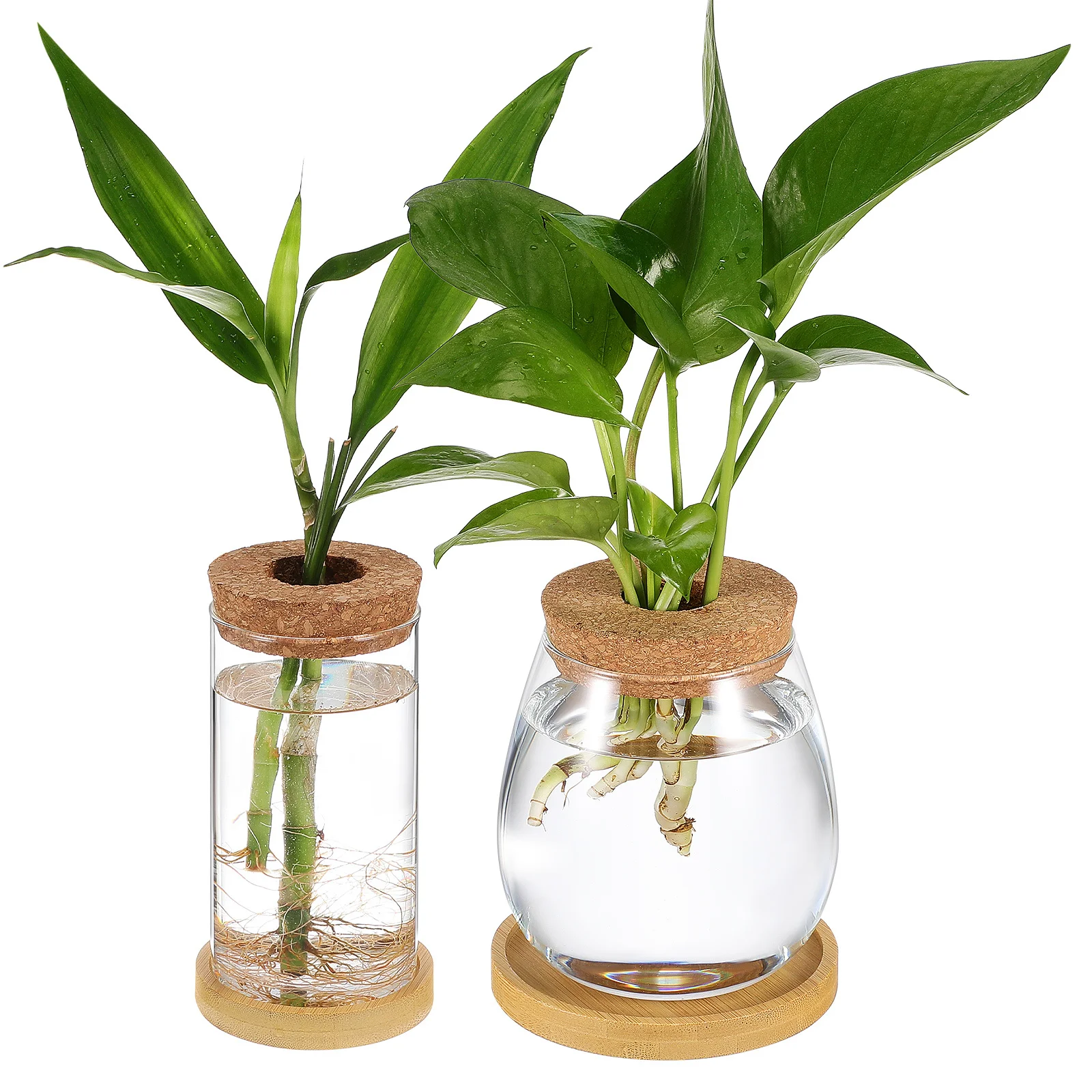 

2Pcs Hydroponic Plant Propagation Jars Glass Terrariums with Cork Lid Tray Glass Planters for Indoor Plants Succulent Air Plant
