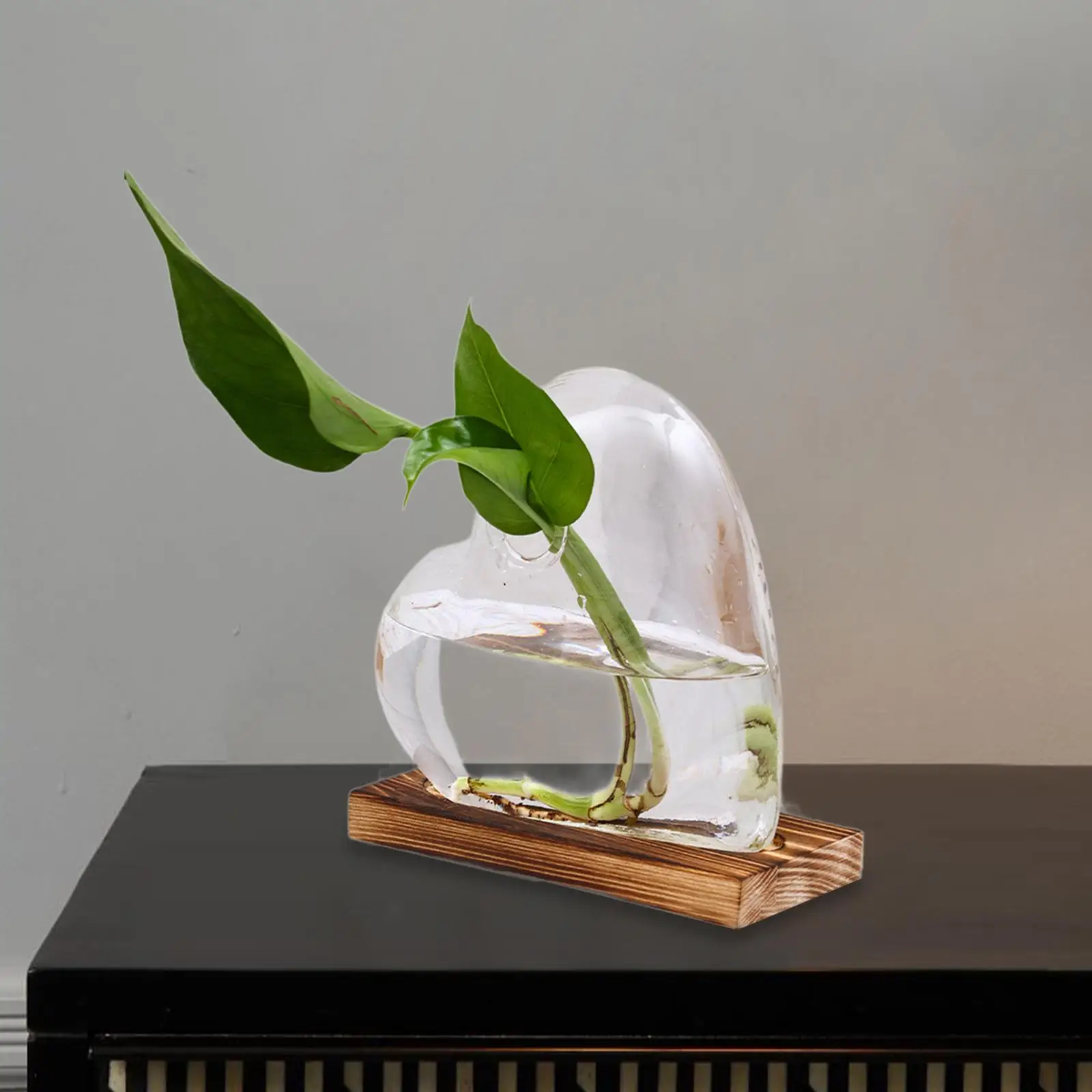 

Heart Shaped Glass Vase with Wooden Base Modern Planter Transparent Flower Vase
