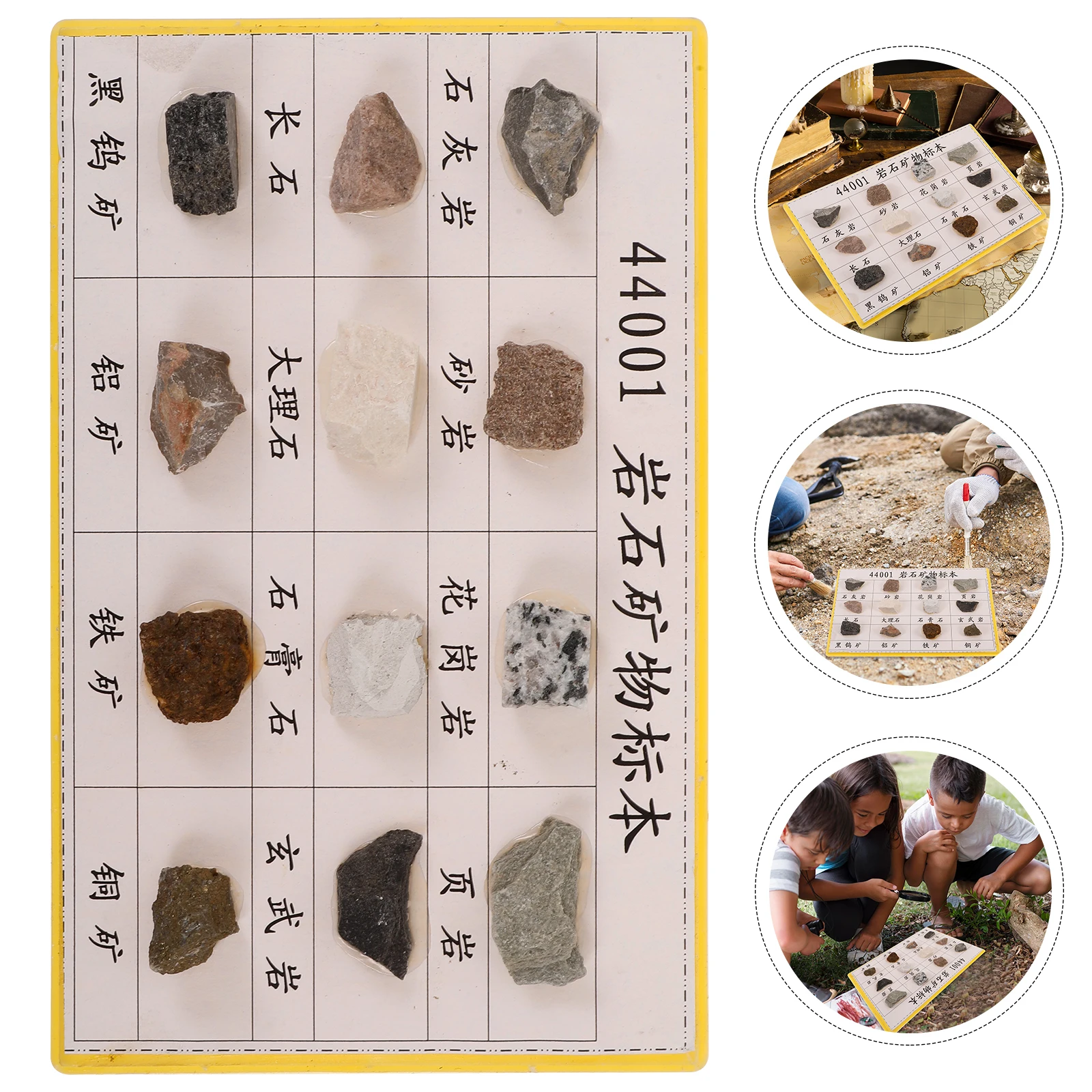 عينات الصخور المعدنية والمعادن والصخور تجربة بيولوجية للمدارس الابتدائية والثانوية عرض بلاستيكي