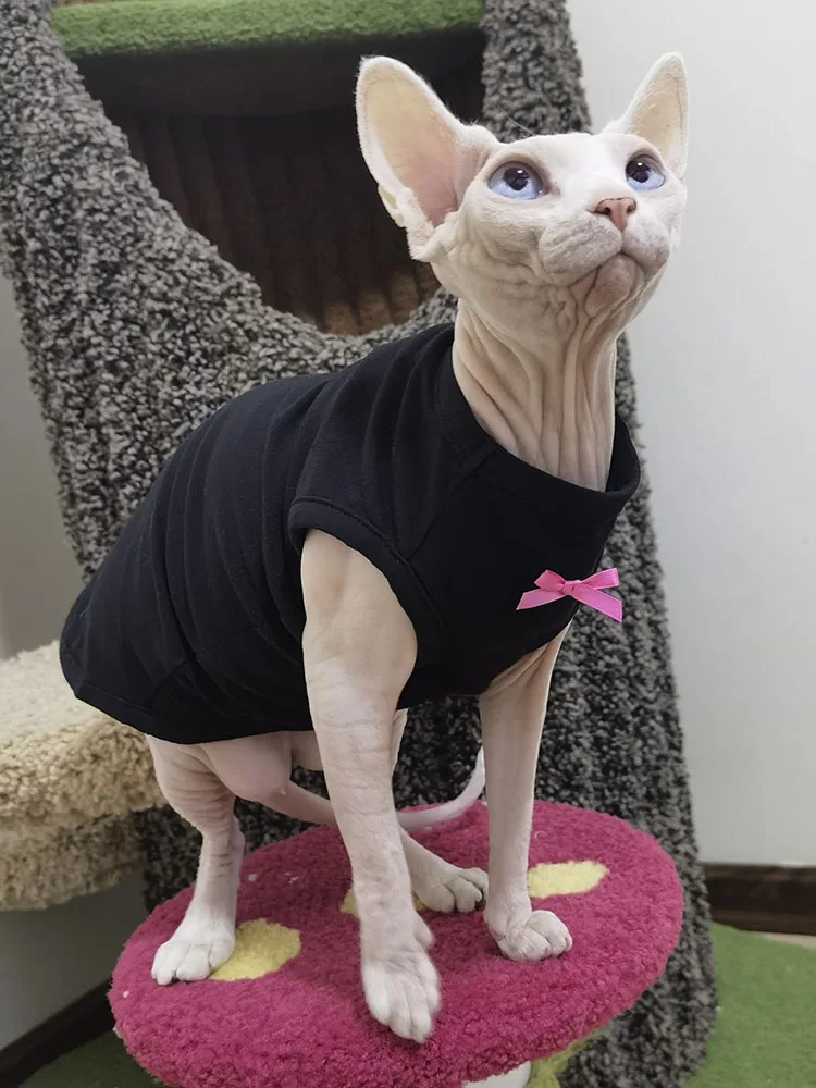 Sphynx Cat Dress with Bowtie in Summer Hairless Cat Clothes Soft Cotton Sweet Black Skirt for Devon Rex Shirt for Kittens