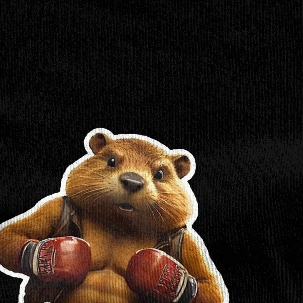 Boxing Beaver Polish Bober Mordo Accessories T-Shirt Men Women Bobr Kurwa Novelty Pure Cotton Unique Tee Shirts