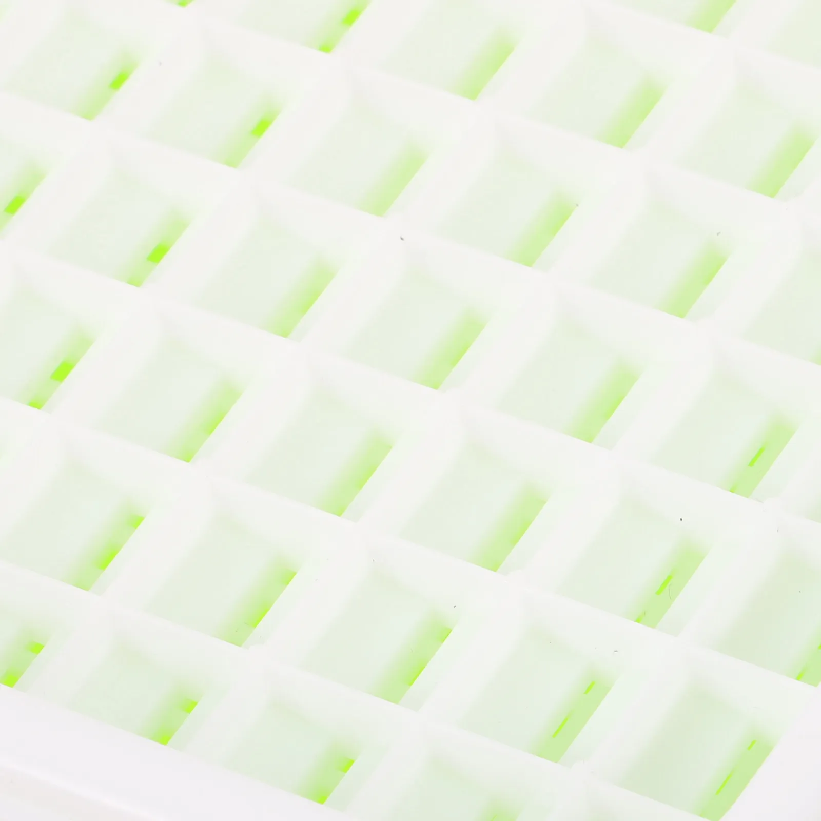 

Plant Germination Box Lightweight Sprouting Tray Tough Plastic Starter Tray for Microgreens Seedlings Hydroponic Garden Growing