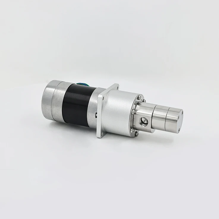 

Высокоточный магнитный зубчатый насос, специалист по коррозии жидкостей с нулевым рискам для загрязнения