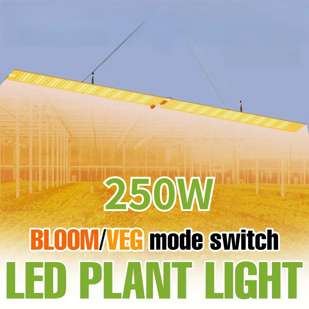 250w-led量子ボード育成ライト-フルスペクトル植物育成ランプ-室内花卉野菜温室テント栽培補助照明