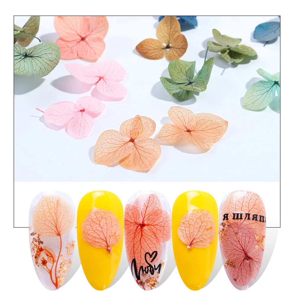 Kit de uñas de Gel, pinzas, hojas secas, flores, pegatinas para pulir