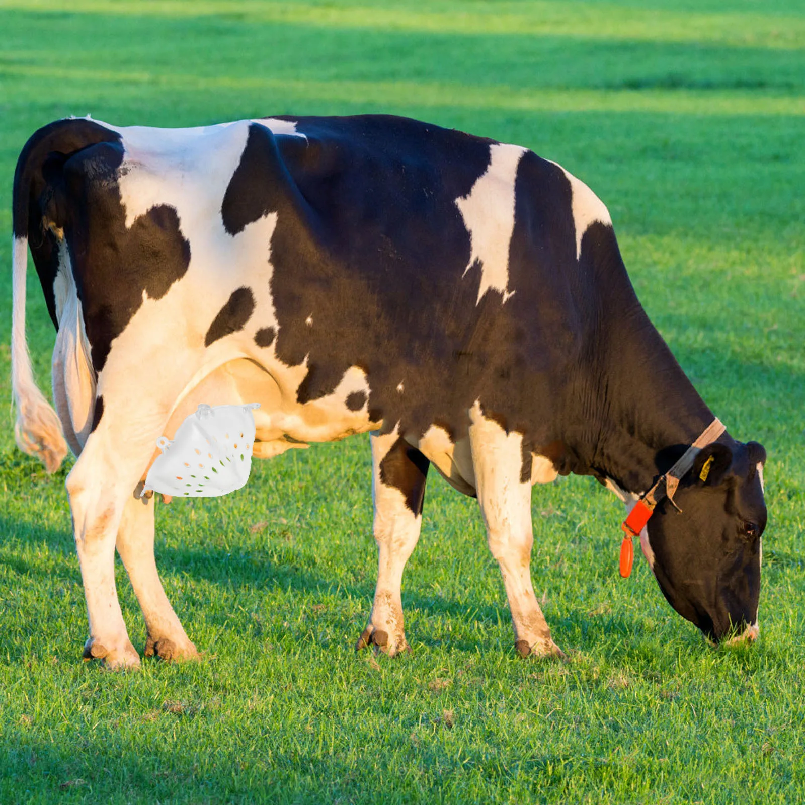 

1pcs Calf Weaner Tool For Pasture Humane Cow Weaning Device Thick Cattle Weaning Equipment Farm Livestock Supply