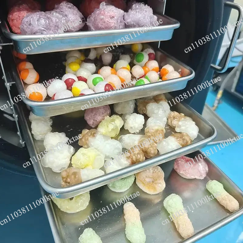 6Kg Digital Control Home Freeze Dryer Easy Use Small Vacuum Lyophilizer Compressor Pump Gear Automatic for Food Processing