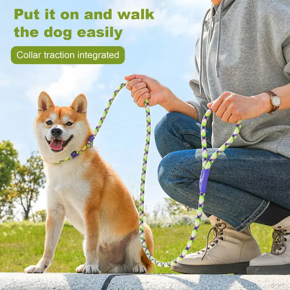 Dog Retainer Leash with Padded Handle Strong Climbing Rope Slip Lead Dog Leash Traction Rope Leash for Medium Large Dogs