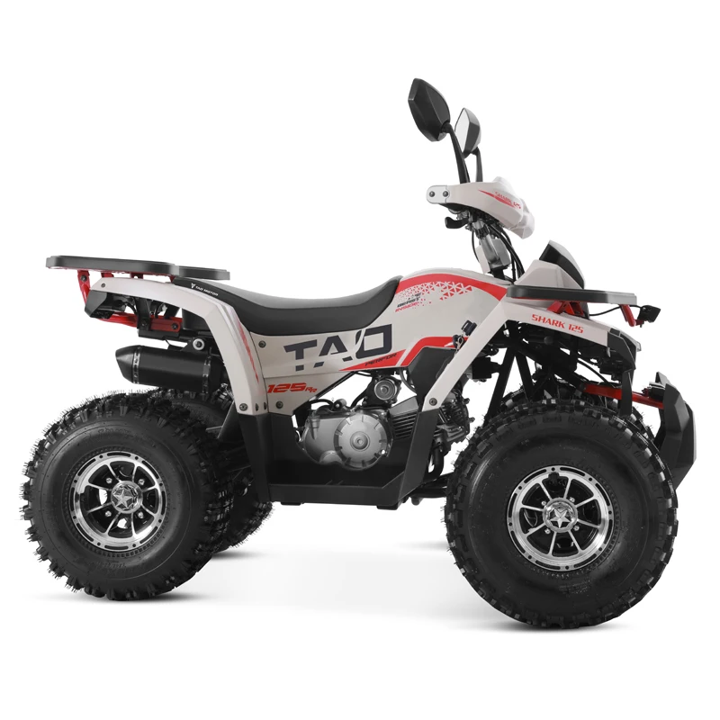 Tao Motor 2024 New Alloy Rim Chain Drive Automatic 1+1 125cc ATV Chinese Cheap Farm ATV 125