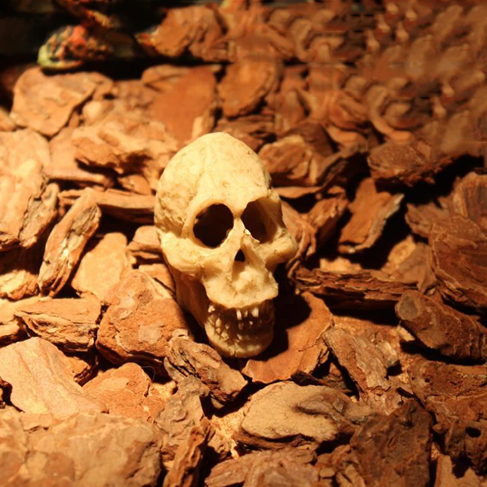 

2pcs Mini Human Skull Resin Ornament For Aquarium Terrarium Decoration Shelter For Fish Reptile Pets Skull Decor Aquarium