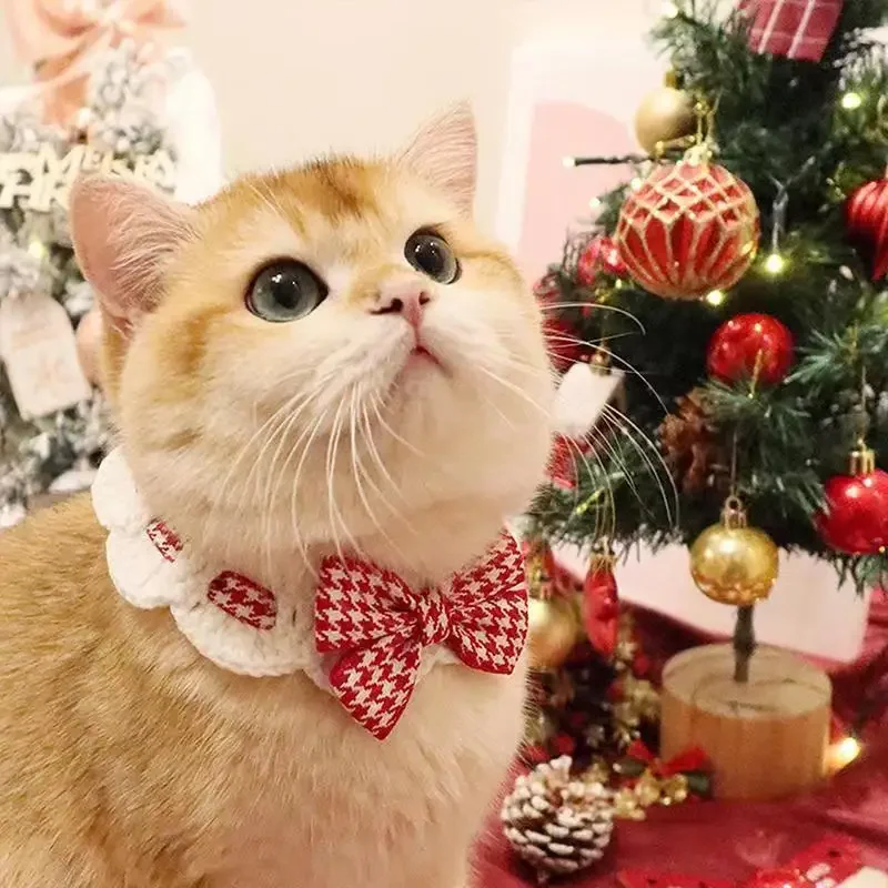 yZ[zԂƍ̎s͗l̐璹iqybg̎ւ悾ꂩEH[^[^Ijbg֑^ybgɎgplN^CANZT[