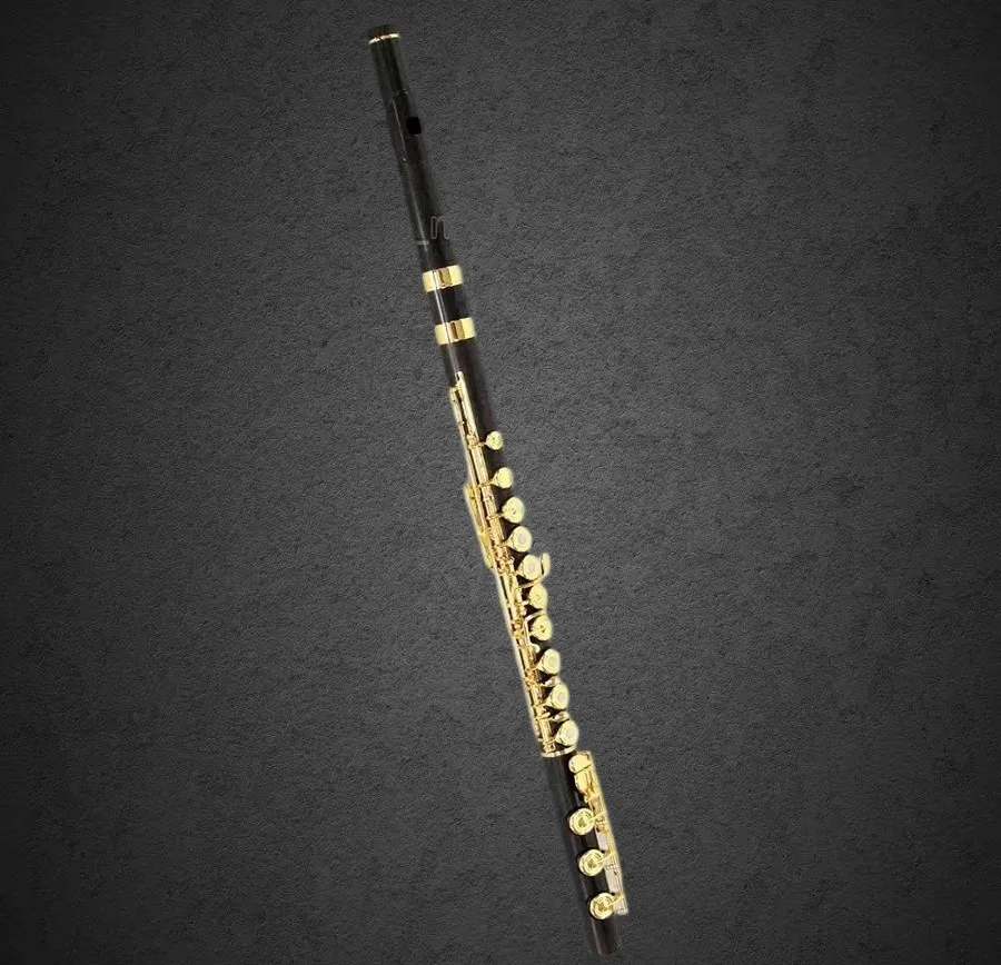 

2026 South African Grenadilla wood 17 Open Holes Flute Gold Plated With Case new27