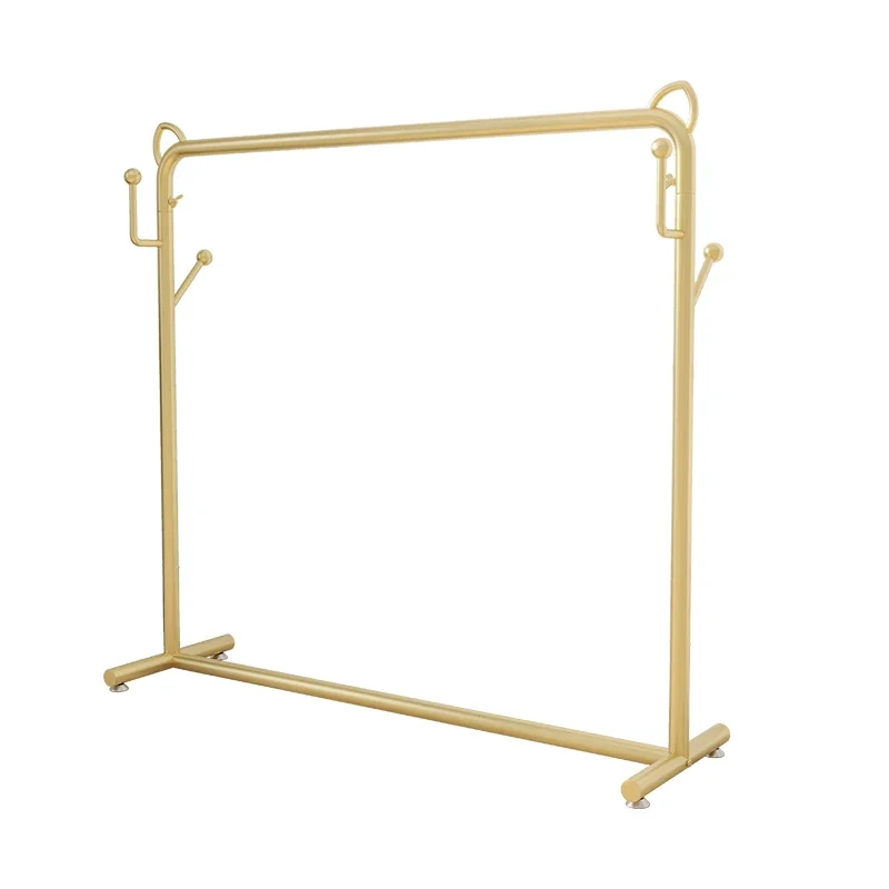 Vertical Balcony Clothes Racks Hanging Glod Design Apartments Clothing Rack Living Room Nordic Perchero De Ropa Room Furniture