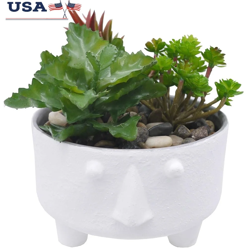 

Cute Face Planter Pot 5 Inch Durable Ceramic Flower Planter Lightweight Indoor Outdoor Succulent Plant Pot Home Decor