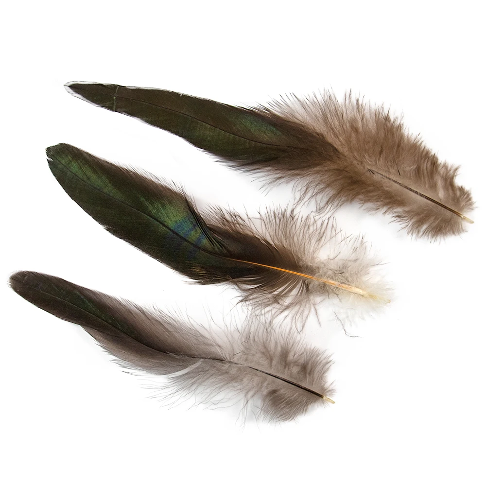 50 قطعة ريش الديك الجميل 15-20 سنتيمتر/6-8 بوصة الدراج الطبيعي بلوم DIY بها بنفسك مجوهرات الزفاف اكسسوارات الديكور الحرف #5