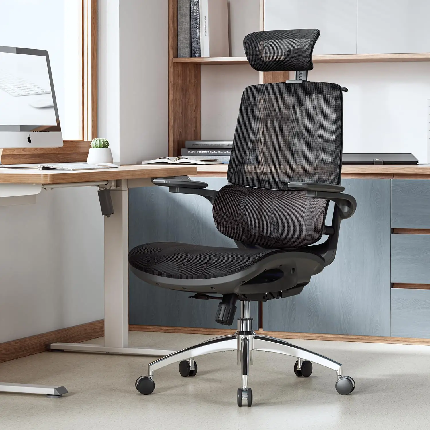 Ergonomic Office Chair Dual Backrest Adaptive Lumbar Support Mesh Desk Chair, Customized