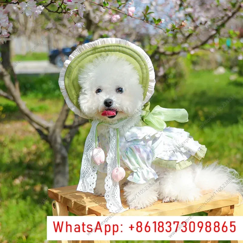 TOP selling Spot Pet Clothing Pet Puppy Clothing Cat Hat Spring Summer Floral Princess Dress Hat Set Collection