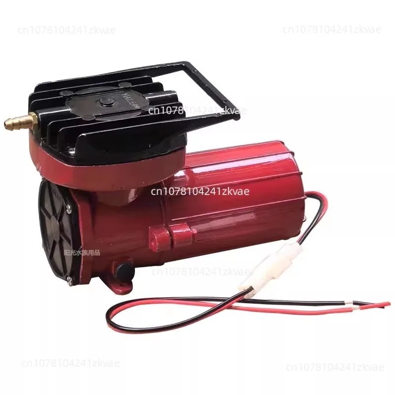 Oxygen Pump, Small …