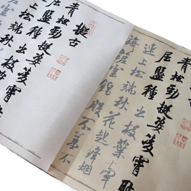 Mi Fu Running Script Copybooks Chinese Inscription Shu Su Tie Brushes Copybook Famous Articles Introductory Calligraphy Practice