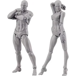 Body Doll, Artists Manikin Blockhead Jointed Mannequin Drawing Figures Male+Female Set (Grey)