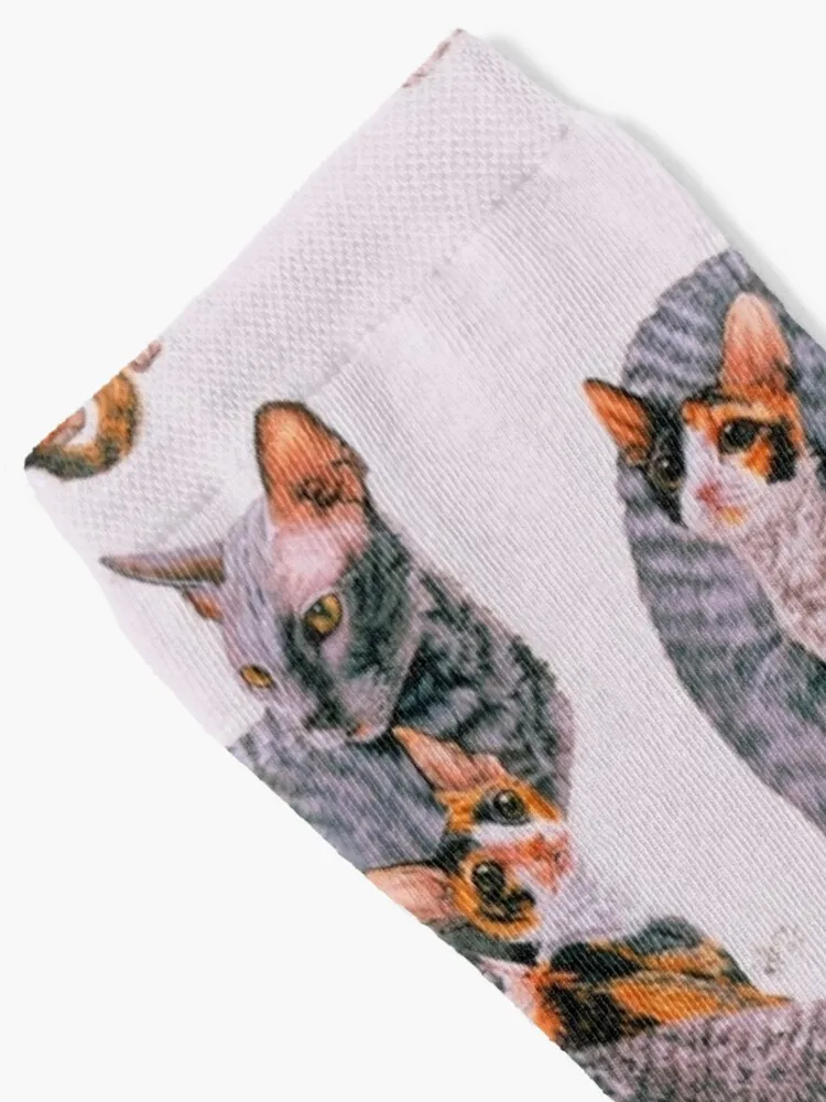 Cornish Rex Assortment Socks Sport Socks