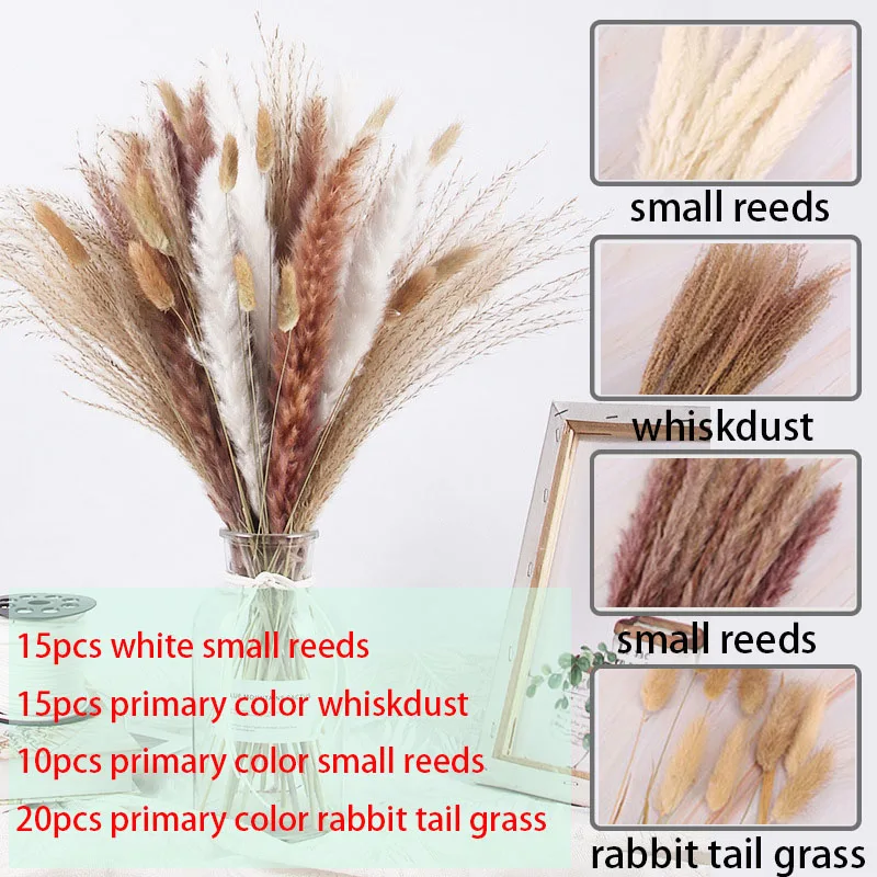 

65pcs/Bunch Dried Flower Natural Pampas Grass Wedding Bouquet Phragmites Reed Plant Christmas Nordic Home Living Room Decoration