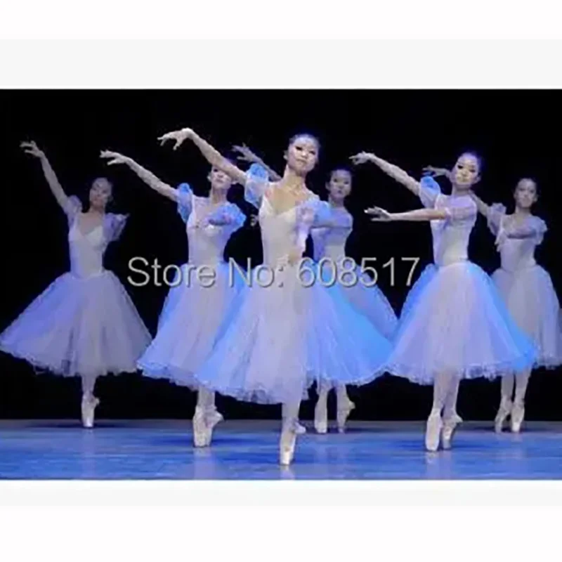 New Adult Ballet Dance Dress White Veil Tutu Dress Swan Lake Dance Wear Performance Ballet Leotard Women Professional Long Skirt