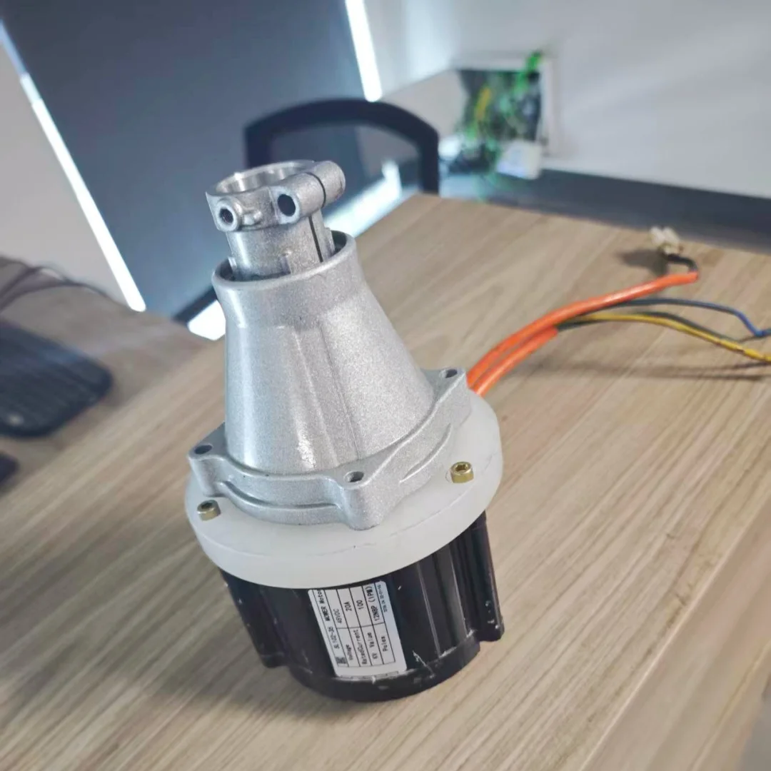 48V 1KW Electric Lawn Mower Motor with Hall Sensor And KTY83-122 Temp Sensor for Gas to Li-ion Conversion Garden Equipment
