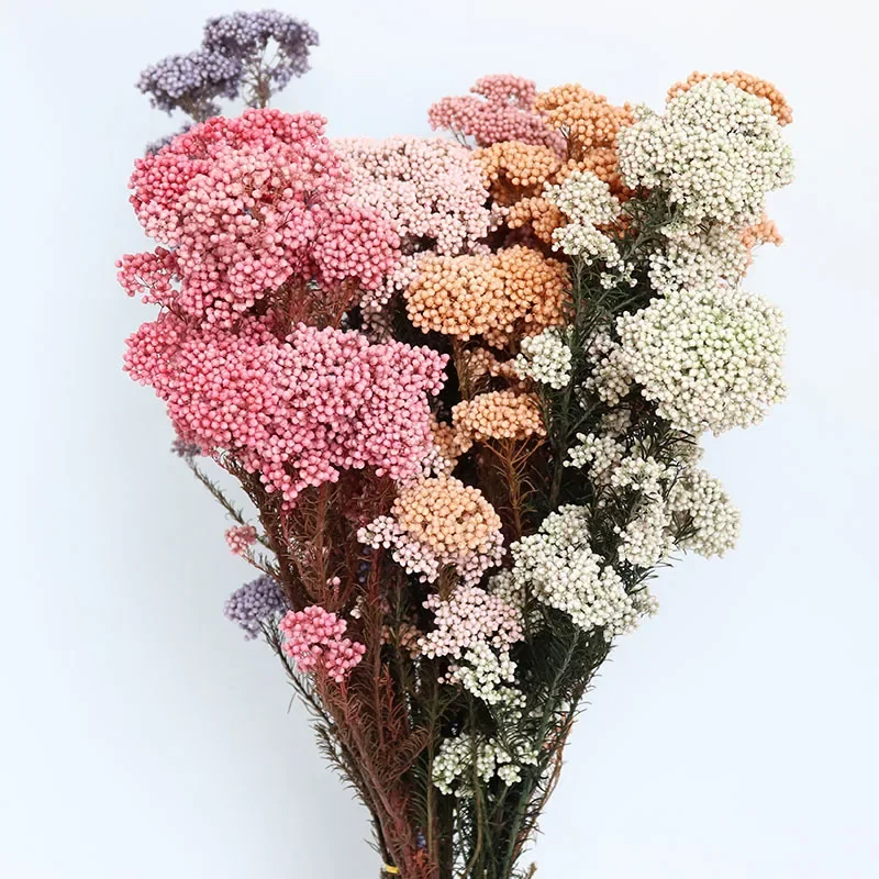 Immortal Millet Dried Flower Bouquets, Natural Plant, Preserved Fresh Flower, Home Decor, Wedding Party Decoration, 45-50cm