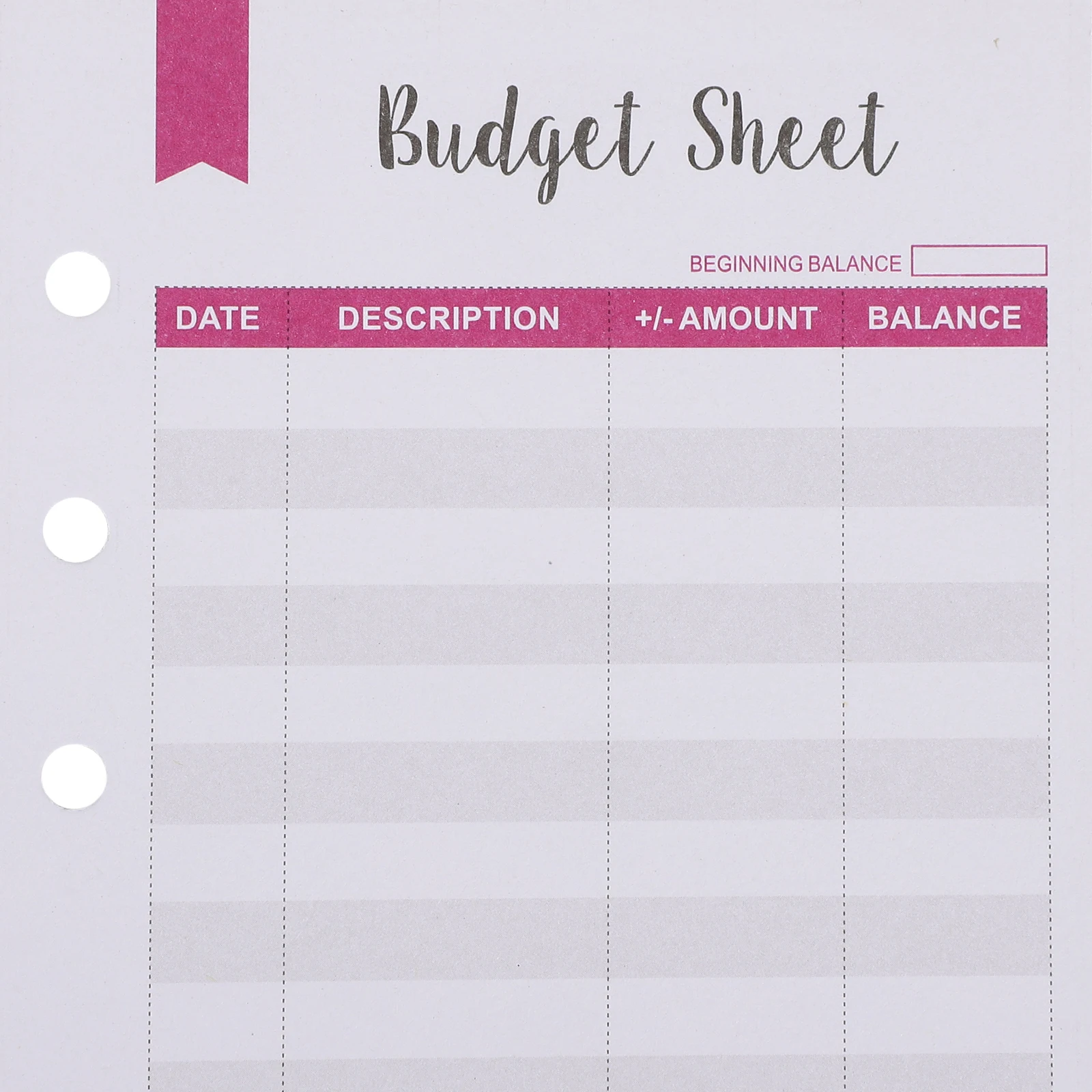 12Pcs A6 Budget Insert Sheets Thick Paper 6-Ring Punch Refills for Binder Expense Tracker Planner Portable Financial