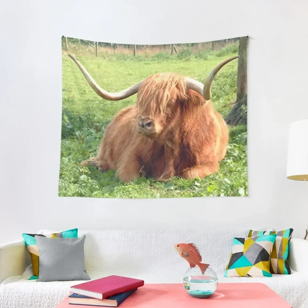 

Heilan Coo Tapestry Bedrooms Decor Decoration Home Aesthetic Home Decor Tapestry