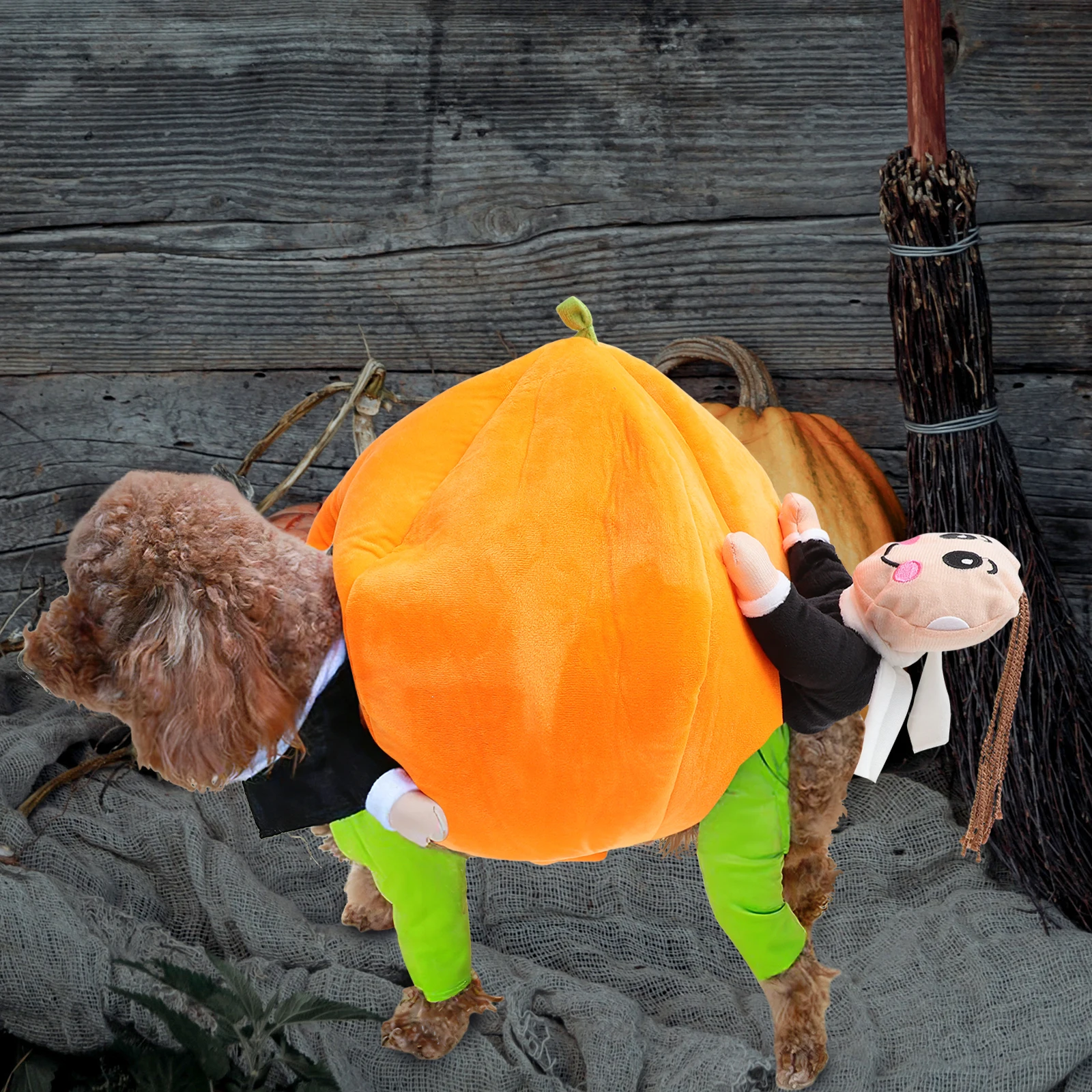 

Pumpkin Transformation Costume Soft Material Halloween Pet Costumes Dogs Adorable Design Easy to Wear Long lasting Use for Party