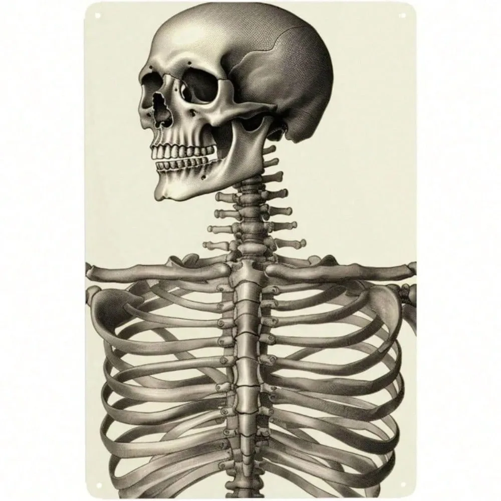 

Vintage Human Skeleton Tin Sign - Funny Retro Metal Wall Decor for Pub Bar Living Room Halloween Party Home