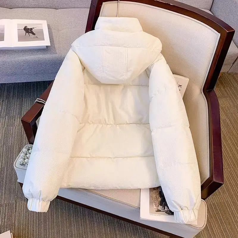 

Puffer Parkas Woman Winter Womens Light Bright Vivid Vibrant Intense Brilliant Radiant Luminous Gleaming Glowing Dazzling Ladies