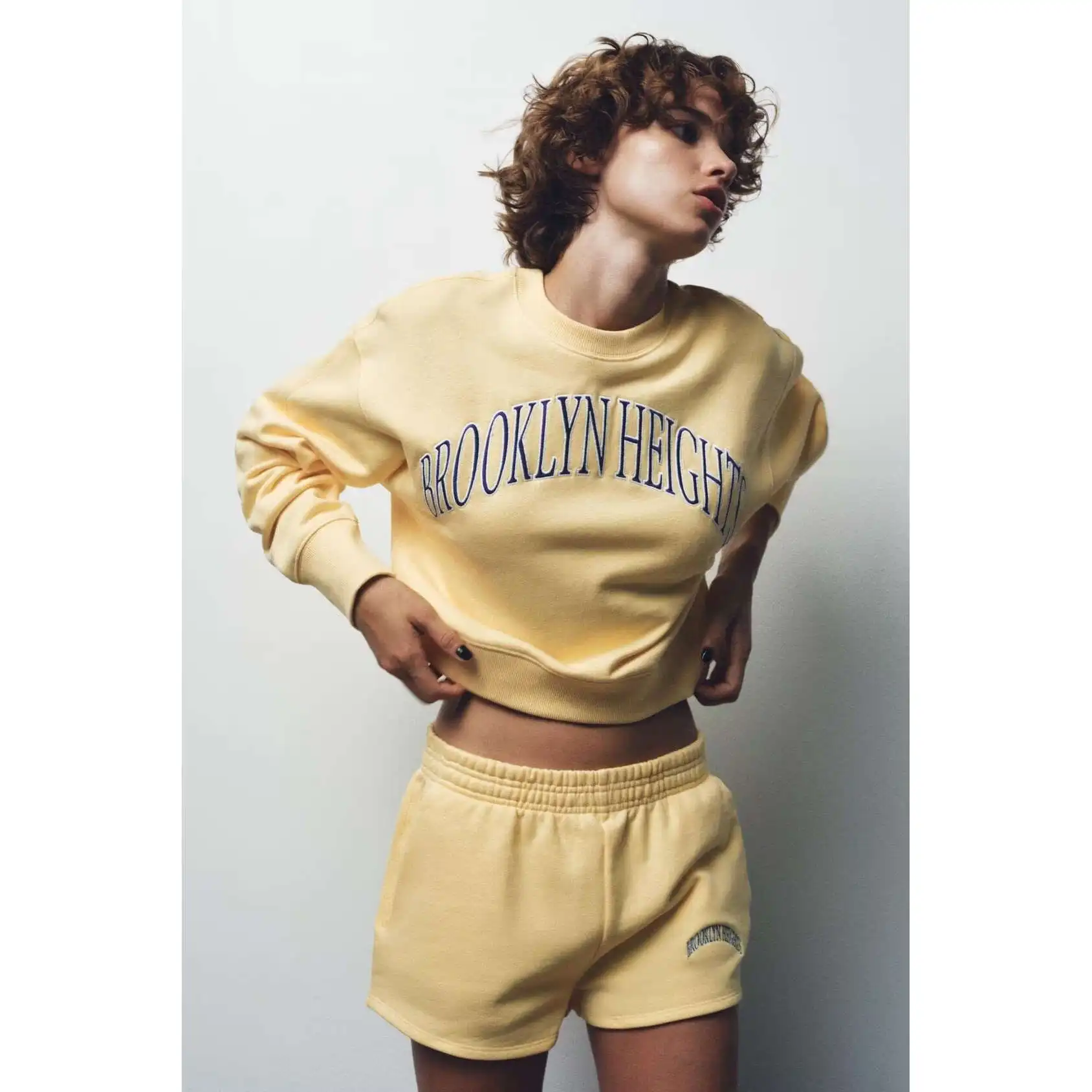 

Комплект из бархатного толстовки и рта с вышивкой Ele. Женский модный дизайн с текстильным принтом. Удобный длинный све, круглый Ne.