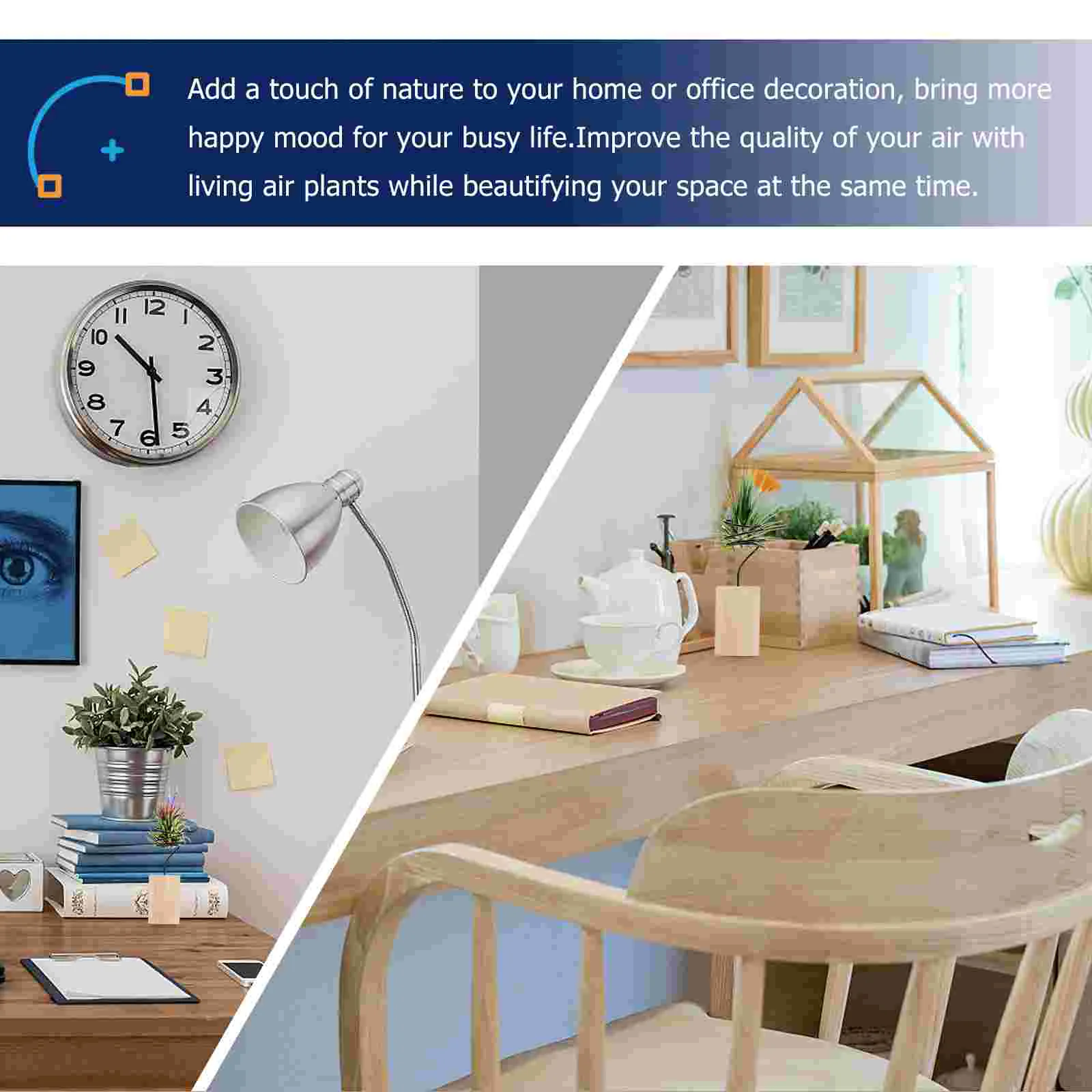 5-teiliger Luft-Ananas-Ständer, Pflanzenholzhalter, Rack, Display, Pflanzgefäß, Tischplatte, Desktop