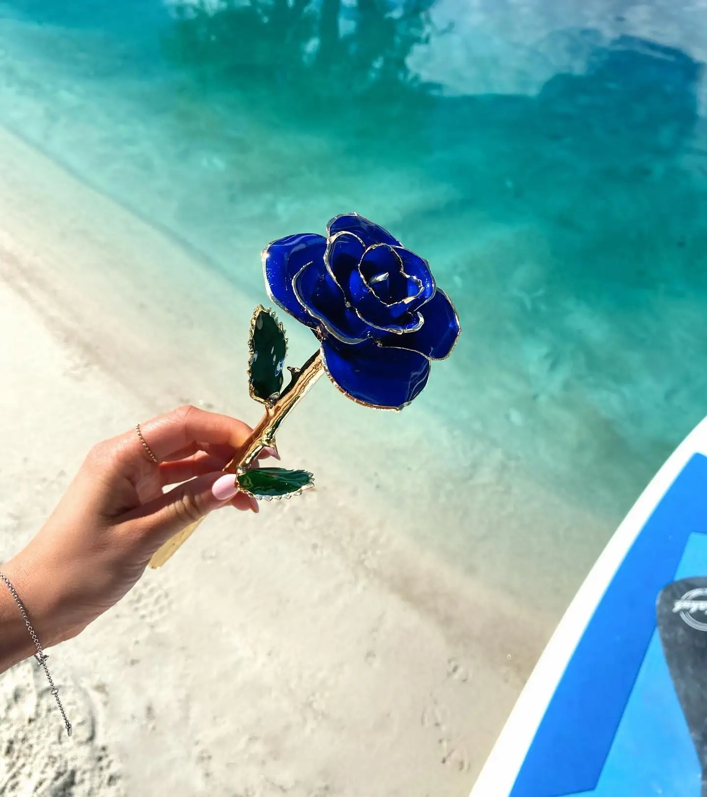 هدايا للنساء 24k الذهب انخفض ارتفع مع الوقوف الزهور الأبدية للأبد الحب في صندوق صديقة الزفاف عيد الحب هدية لها