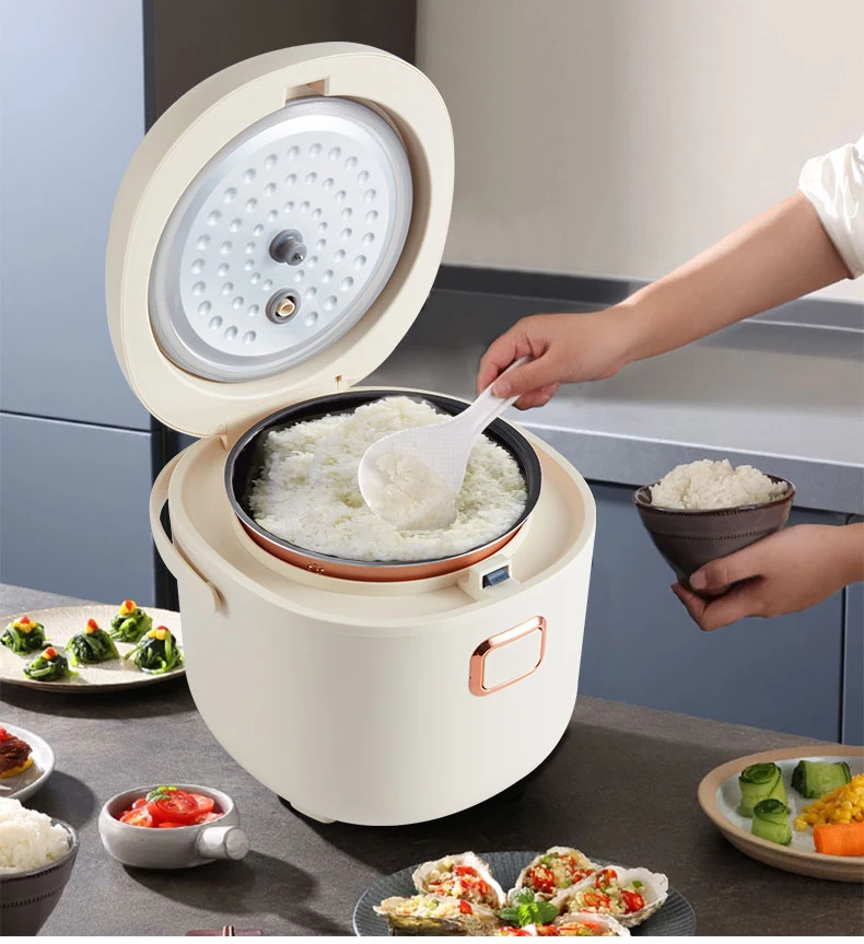 110v 220v  Rmier muti-functional rice cooker mini 2L intelligent reservation 3 to 4 family small dormitory  4 to 5 people eating