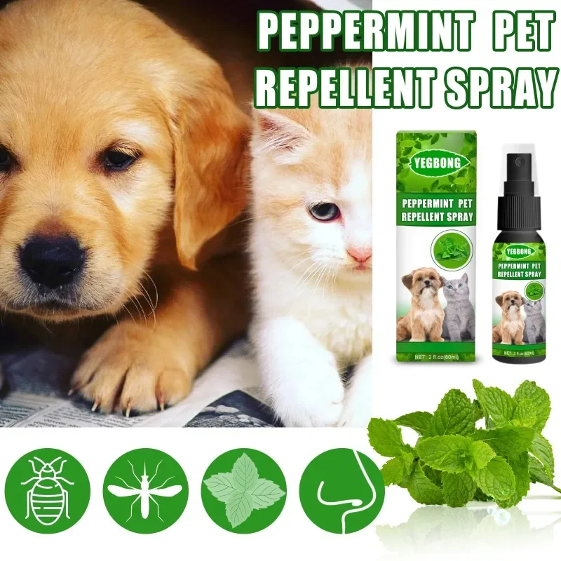 Peppermint Oil Spray Effective Bugs Spray Professional Pet Flea Spray 60ml Natural Mint Suitable For All Types Of Dogs Cats