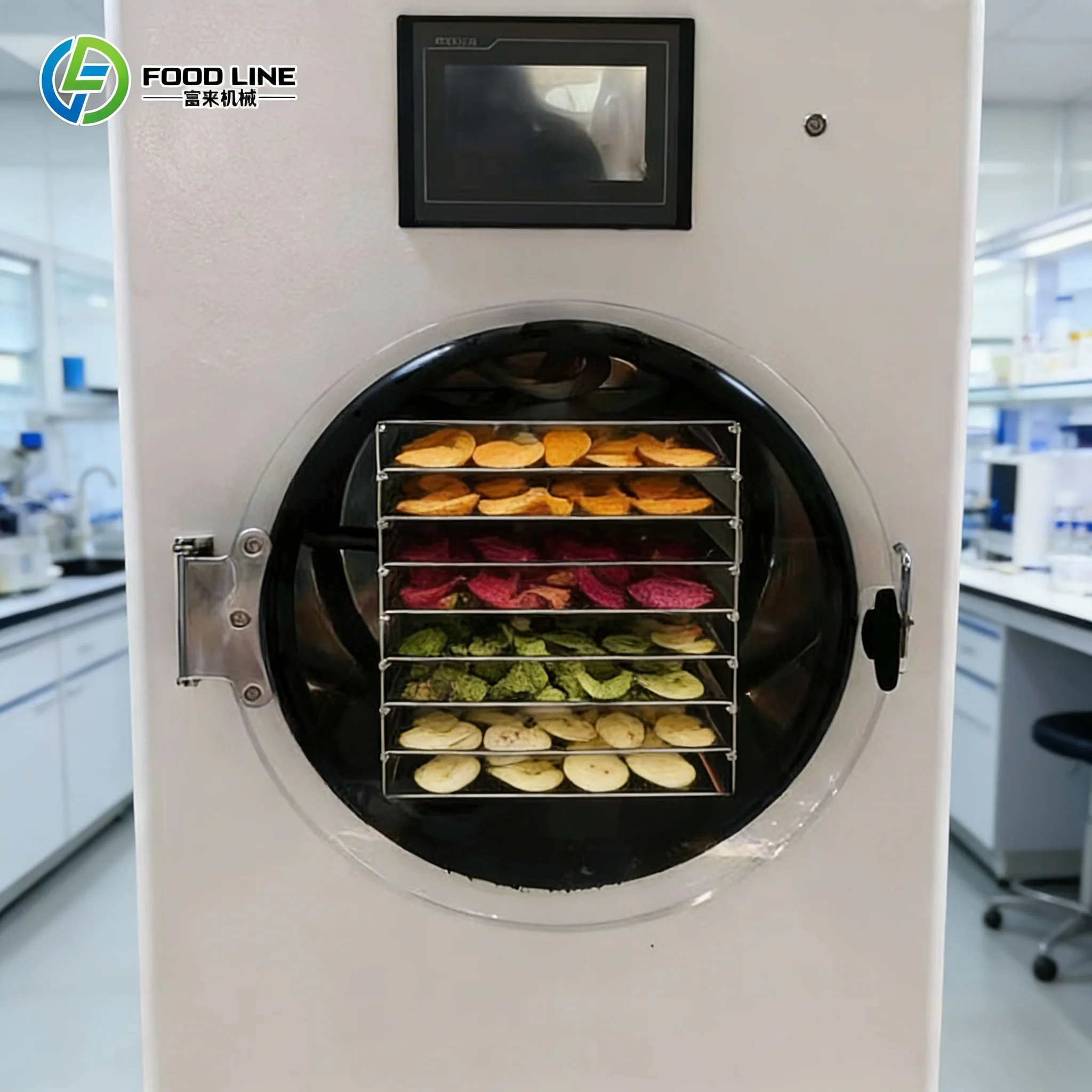 Stainless Steel Home Freeze Dryer Automatic Small for Food Processing Compact Lyophilizer Machine Customize
