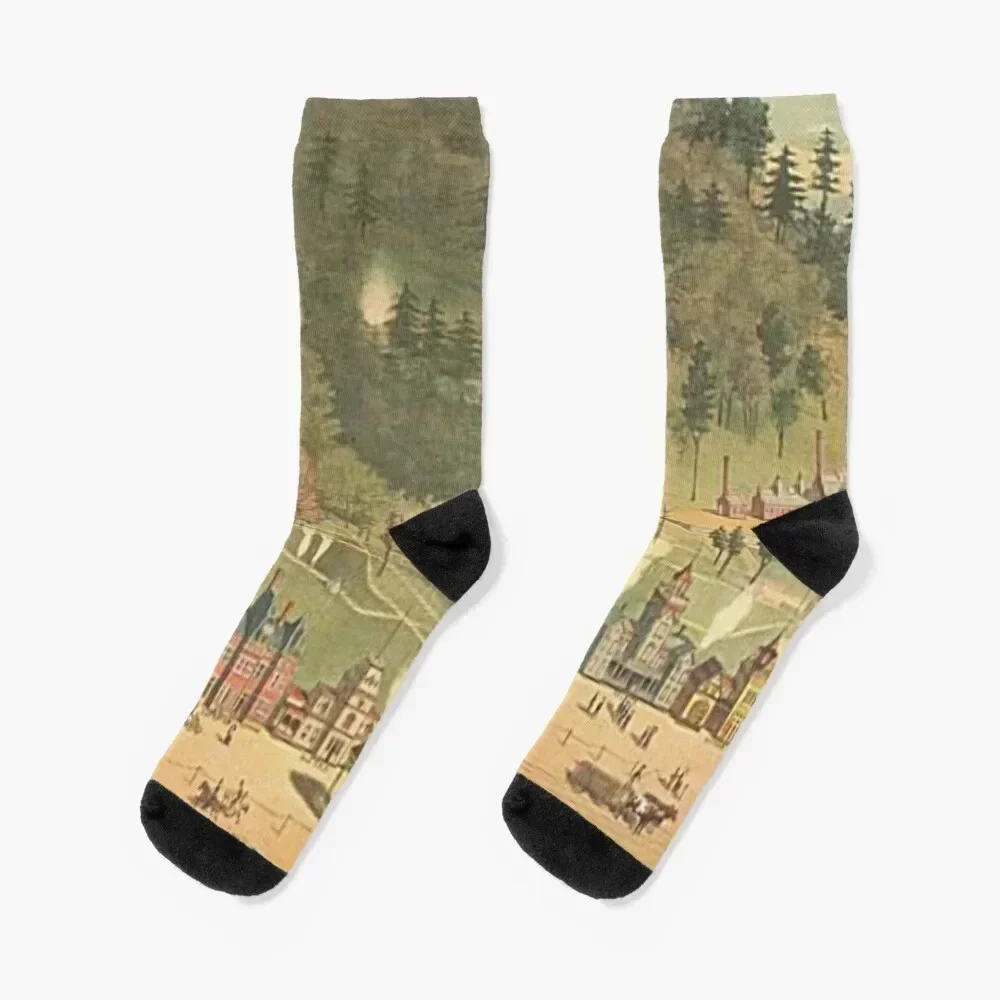 

Hot Springs National Park Socks winter Thermal man winter funny gifts Socks Men's Women's