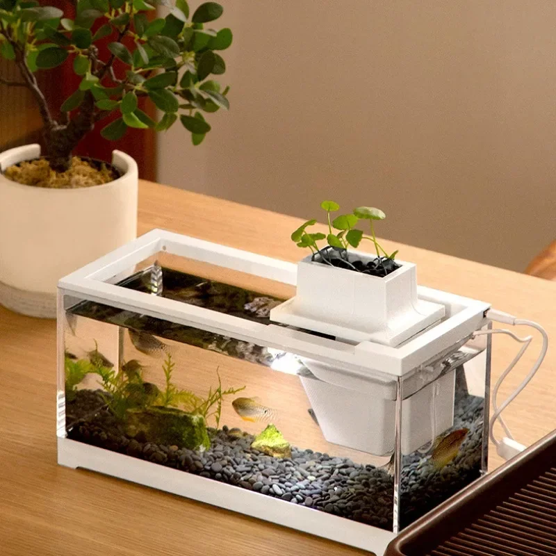 حوض أسماك استوائي صغير على سطح الطاولة فانوس سمك الطاووس الأسماك العائلية وترشيح الروبيان نظام المياه المتداولة الصامت