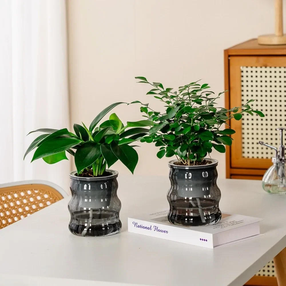 

Fashion Self Watering Hydroponic Plants Pot Removable Transparent Mini Succulent Planter Tabletop Vase Plastic Flowerpot