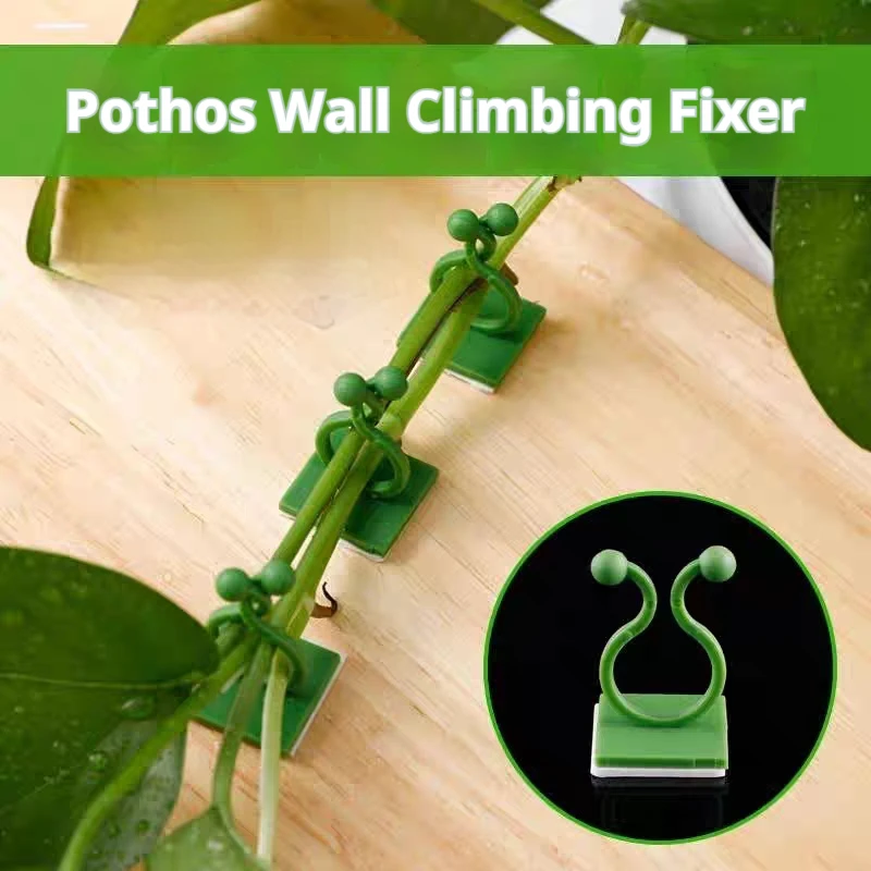 10/20/30PCS Self‑Adhesive Plant Climbing Wall Clips Invisible Vine Fixer Hook Rattan Plant Support Garden Tool