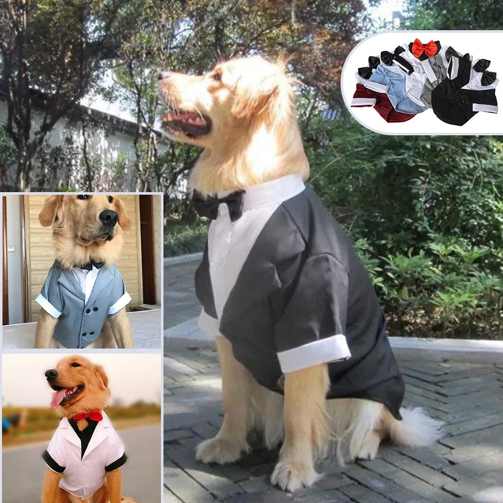 Formal Tuxedo Suit with Black Bow Tie for Large Dogs, Pet Costume, Golden Retriever