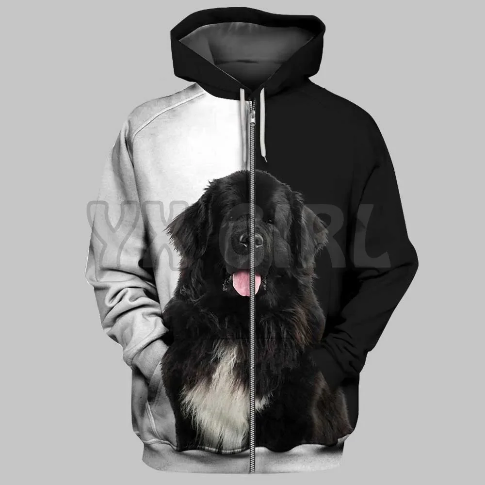 Boxer Dogs  3D Printed Hoodies Men For Women Unisex Pullovers Zipper Hoodie Casual Street Tracksuit